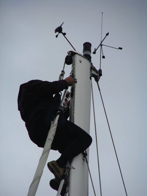 mast inspection